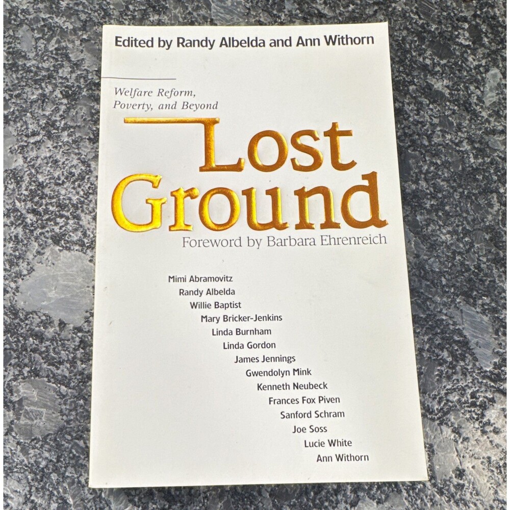 Lost Ground: Welfare Reform, Poverty & Beyond Albelda/Withorn PB South End 2002